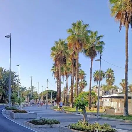 In Playa De Americas Apartment *
